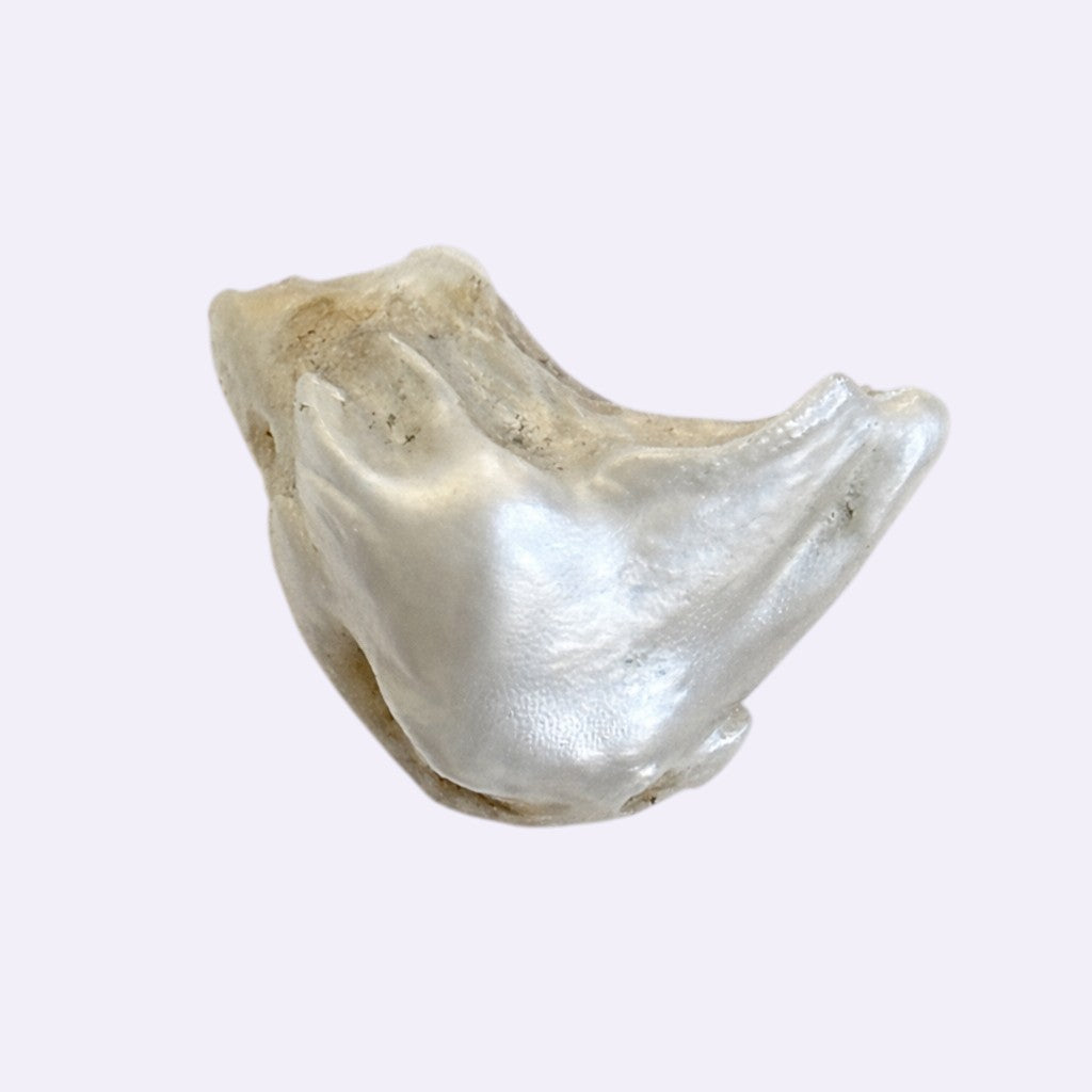 Natürliche Mississippi-Perle – 10,2 ct | Barocke Freiform | Silberweiß