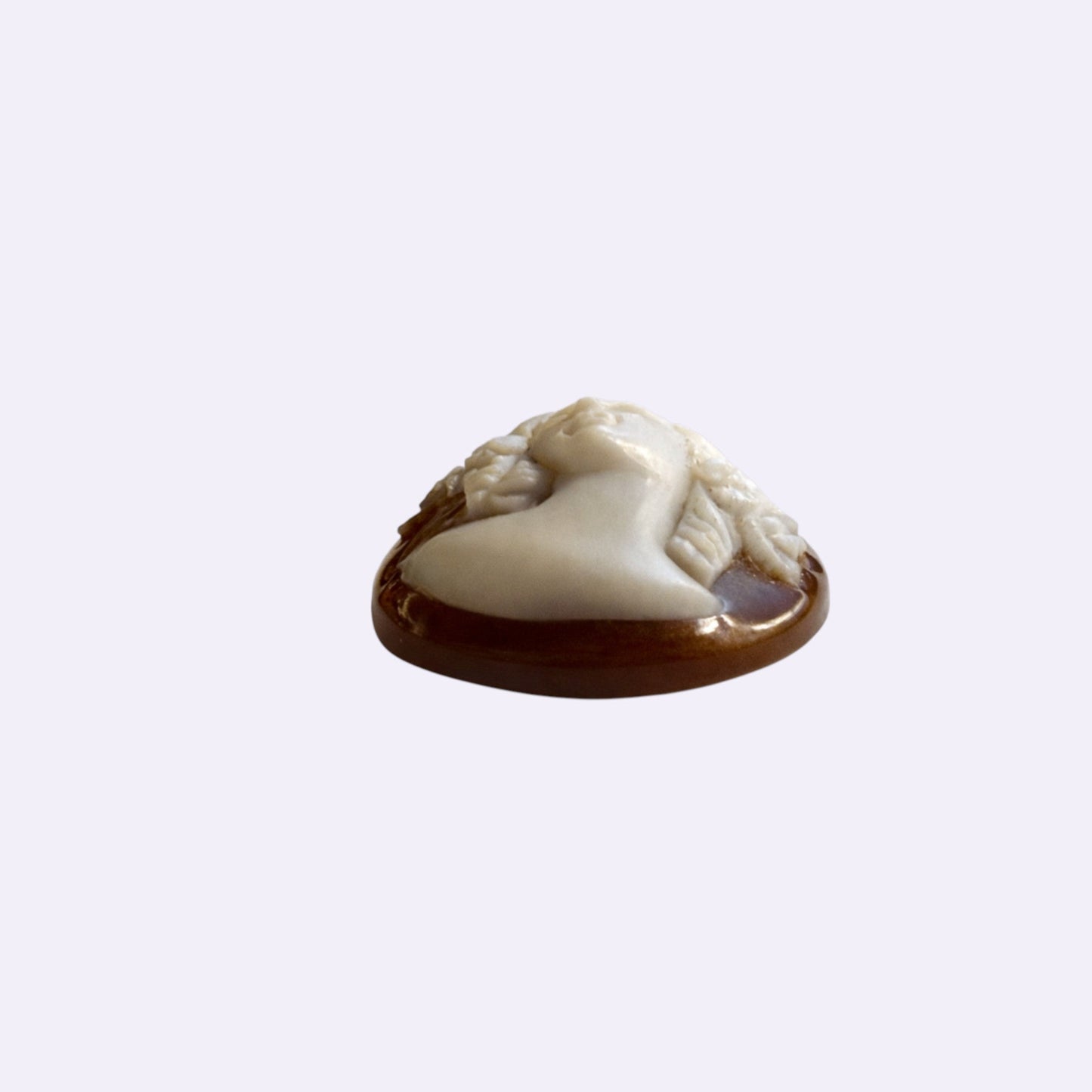 Gemme Muschel „Frau“ – 15 × 20 mm, oval, flach konvex, niedrig gewölbt