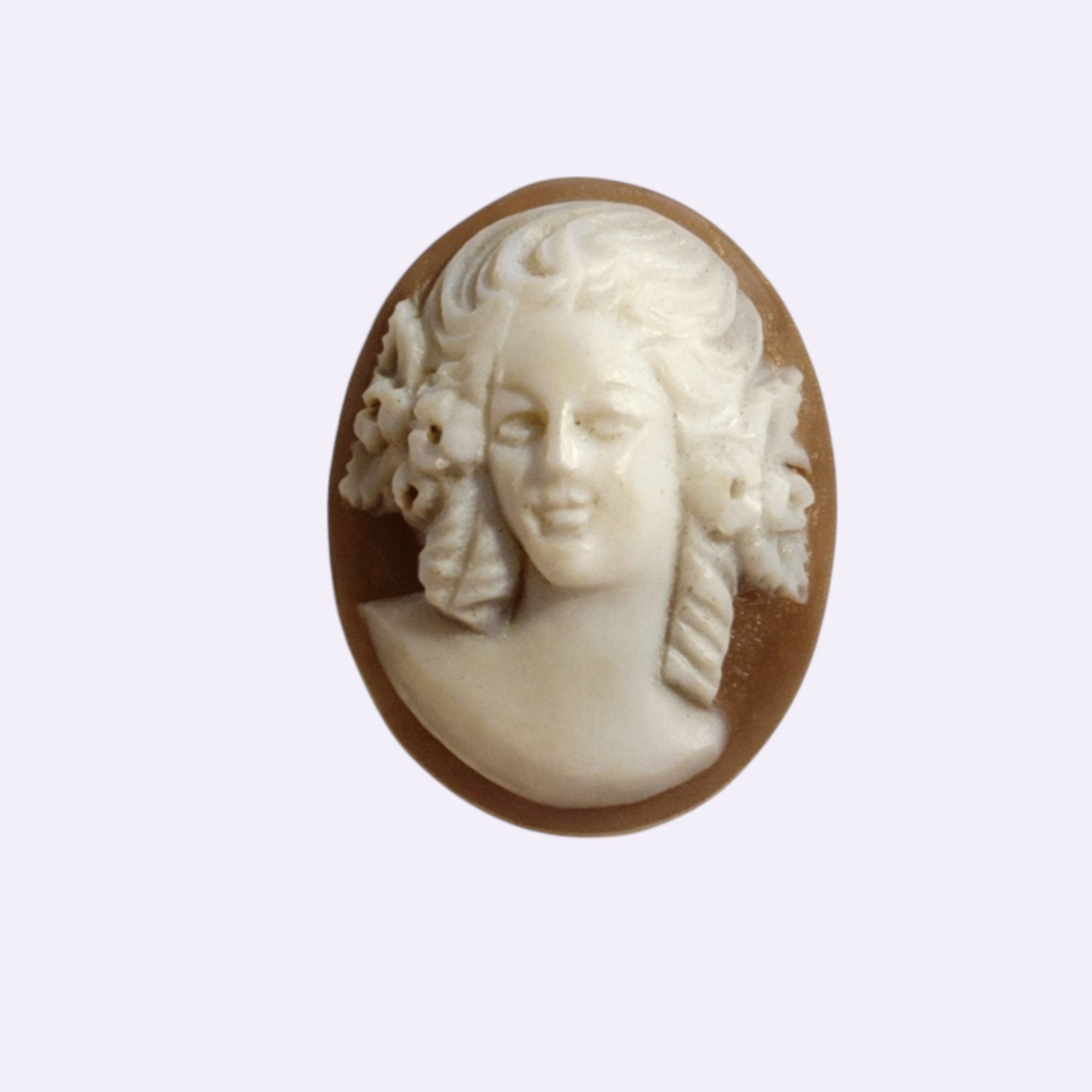 Gemme Muschel „Frau“ – 15 × 20 mm, oval, flach konvex, niedrig gewölbt