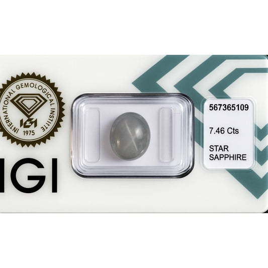 Natürlicher Stern-Saphir - 7,46 ct | Oval Cabochon Cut | Blaugrau