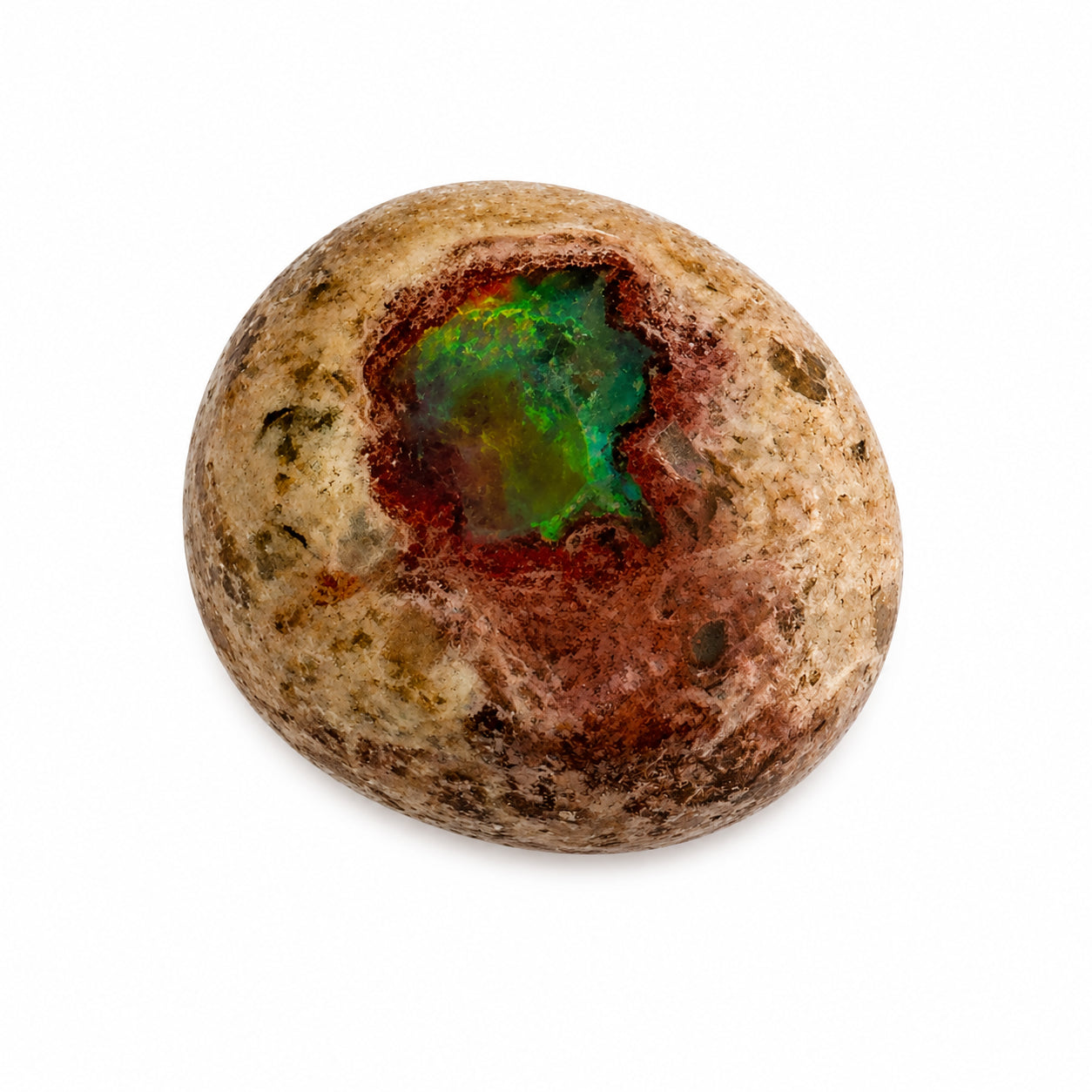 Natürlicher Opal - 5,35 ct | Oval Cabochon | Cremebeige Matrix mit brauner Zeichnung und grün-blauem Farbspiel