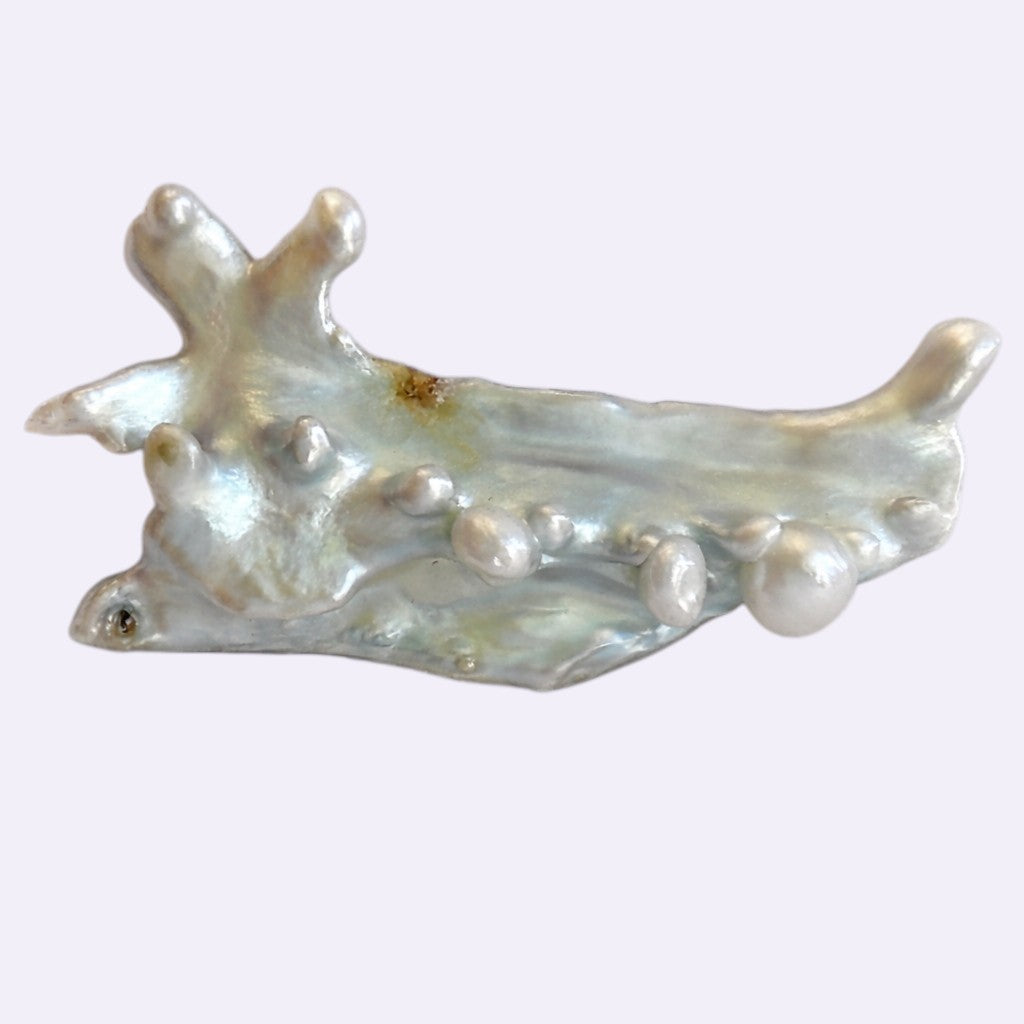 Natürliche Süßwasser-Drachenperle – 29,02 ct | Freiform | Silberweiß