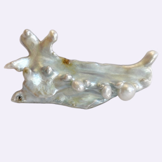 Natürliche Süßwasser-Drachenperle – 29,02 ct | Freiform | Silberweiß