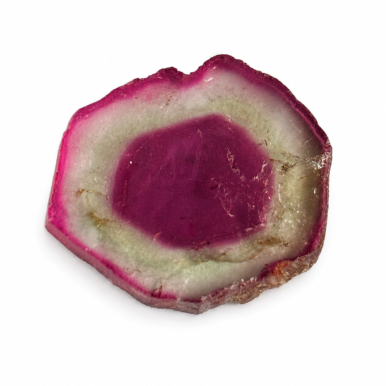 Natürlicher Turmalin-Querschnitt - 6,29 ct | Wassermelonen-Turmalin | Purpur- bis Brombeerrot
